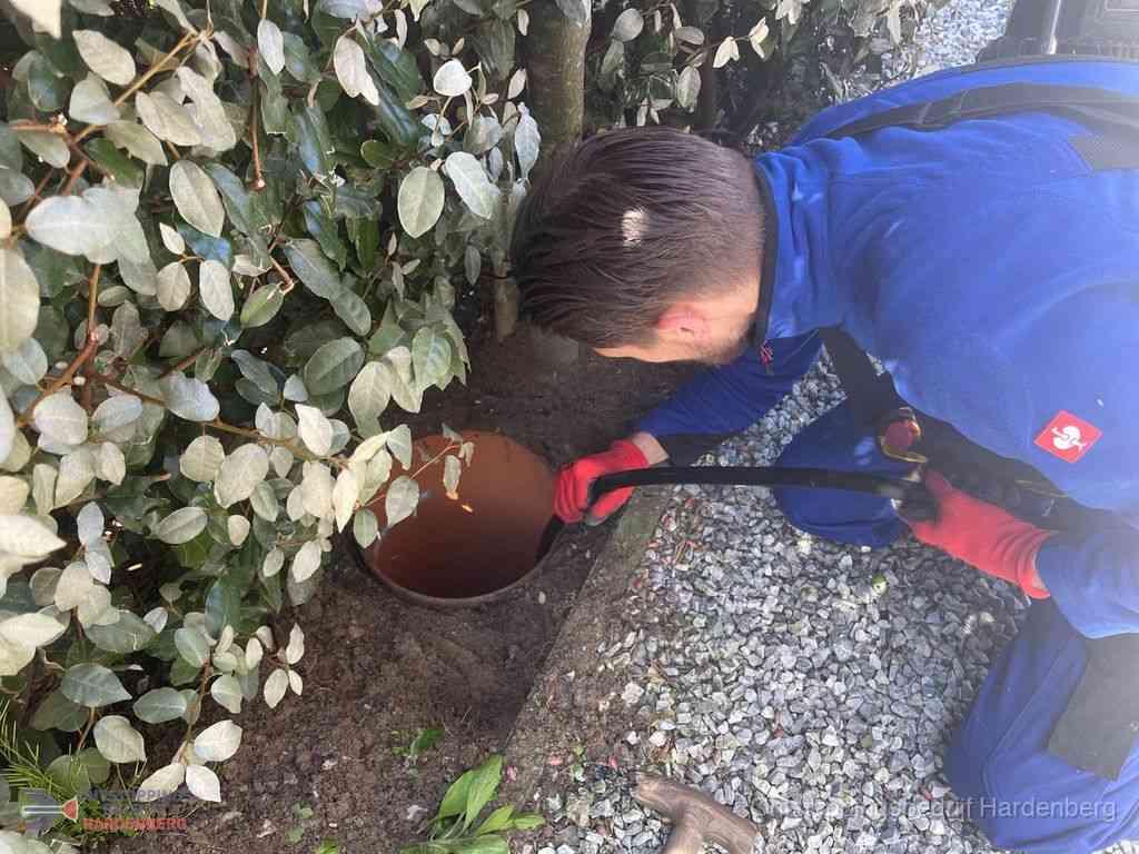 Rioolvliegjes Hardenberg Rioolvliegjes Hardenberg